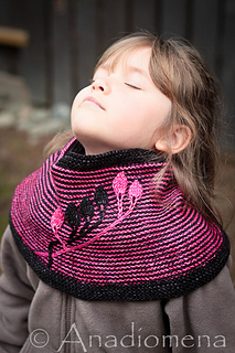Img_6532_small2