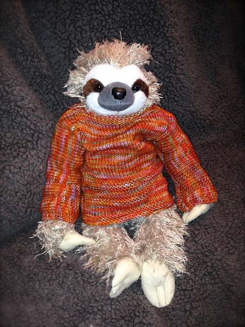 Sloth in a Sweater